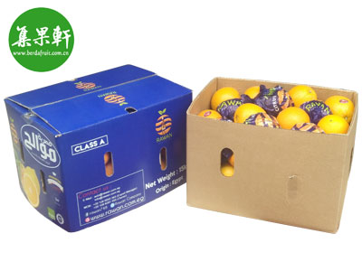 埃及脐橙产品主图